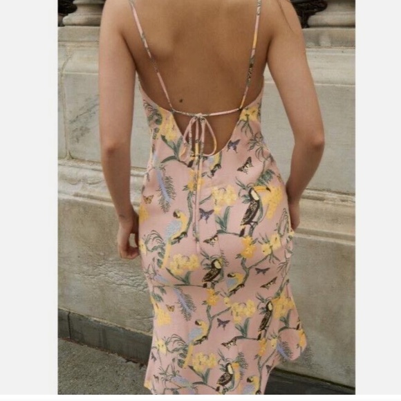 Reformation Midi Chianti Dress Blush Pink Conga Print Birds Floral Open back XS - Picture 16 of 16
